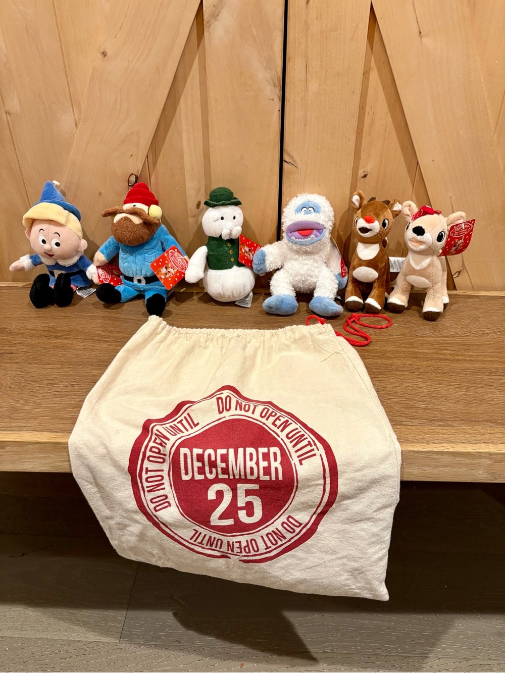 Christmas Plush Set with 'December 25' Gift Bag